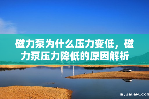 磁力泵为什么压力变低，磁力泵压力降低的原因解析