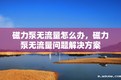 磁力泵无流量怎么办，磁力泵无流量问题解决方案