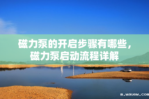 磁力泵的开启步骤有哪些，磁力泵启动流程详解