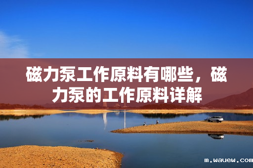 磁力泵工作原料有哪些，磁力泵的工作原料详解