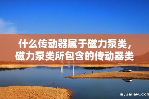 什么传动器属于磁力泵类，磁力泵类所包含的传动器类型