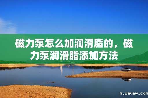 磁力泵怎么加润滑脂的，磁力泵润滑脂添加方法