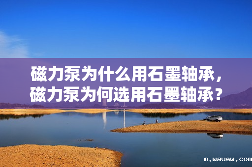 磁力泵为什么用石墨轴承，磁力泵为何选用石墨轴承？