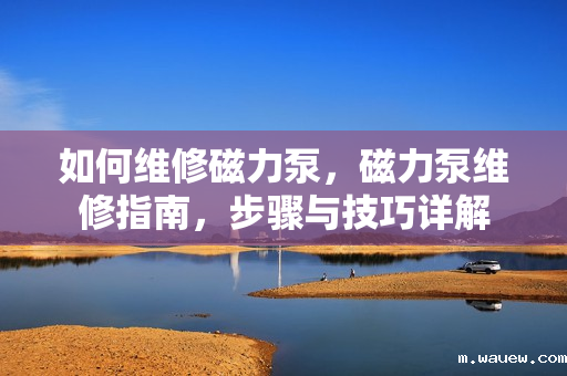 如何维修磁力泵，磁力泵维修指南，步骤与技巧详解