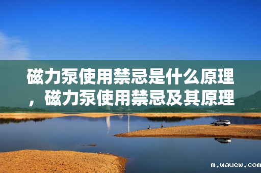 磁力泵使用禁忌是什么原理，磁力泵使用禁忌及其原理解析