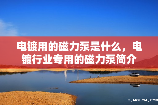 电镀用的磁力泵是什么，电镀行业专用的磁力泵简介