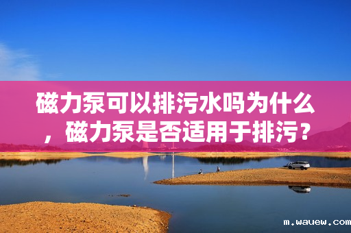 磁力泵可以排污水吗为什么，磁力泵是否适用于排污？原因解析