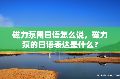 磁力泵用日语怎么说，磁力泵的日语表达是什么？