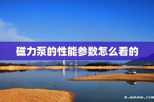 磁力泵的性能参数怎么看的