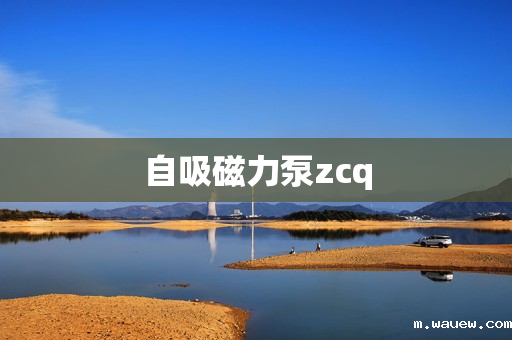 自吸磁力泵zcq