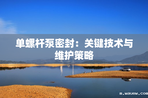 单螺杆泵密封：关键技术与维护策略