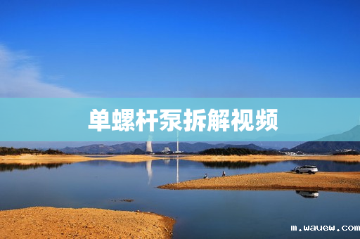  单螺杆泵拆解视频