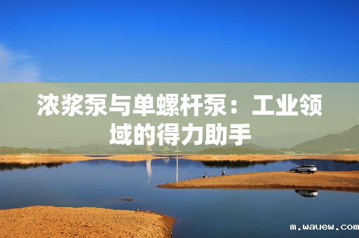 浓浆泵与单螺杆泵：工业领域的得力助手