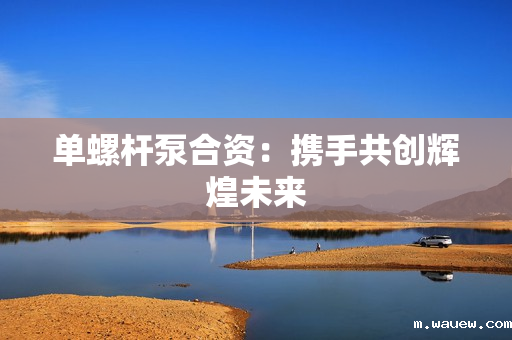 单螺杆泵合资：携手共创辉煌未来