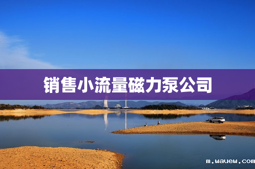 销售小流量磁力泵公司