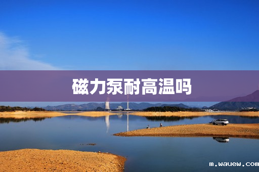  磁力泵耐高温吗