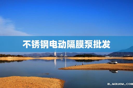 不锈钢电动隔膜泵批发