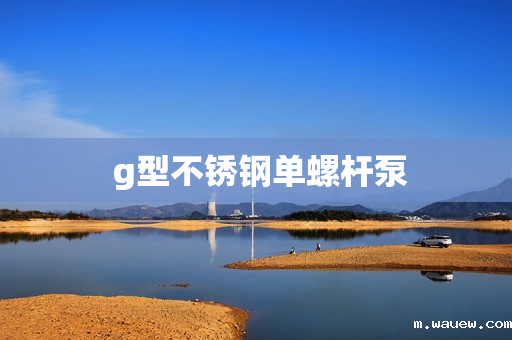  g型不锈钢单螺杆泵