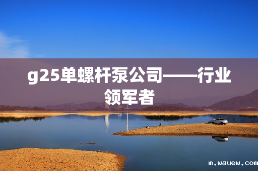 g25单螺杆泵公司——行业领军者