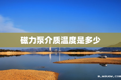 磁力泵介质温度是多少