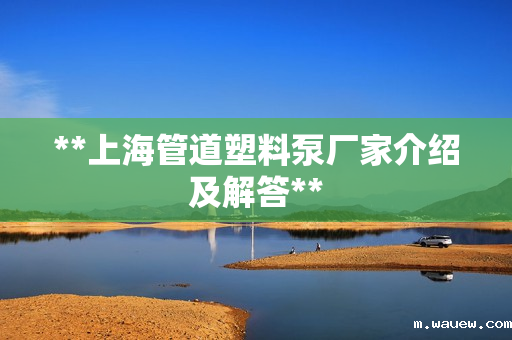 **上海管道塑料泵厂家介绍及解答**