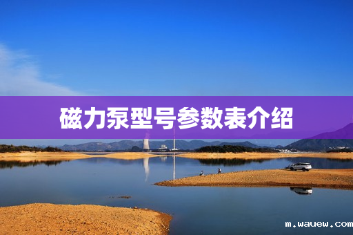 磁力泵型号参数表介绍