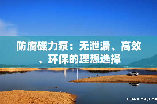 防腐磁力泵：无泄漏、高效、环保的理想选择