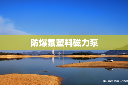 防爆氟塑料磁力泵