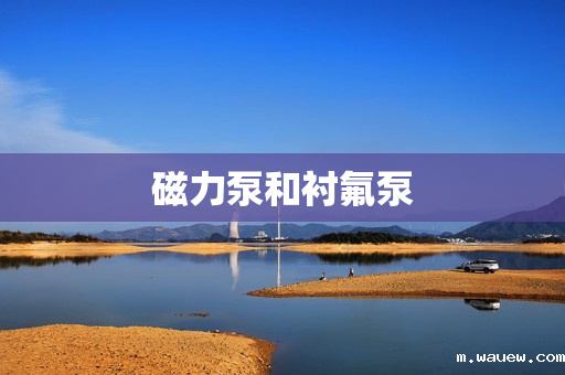 磁力泵和衬氟泵