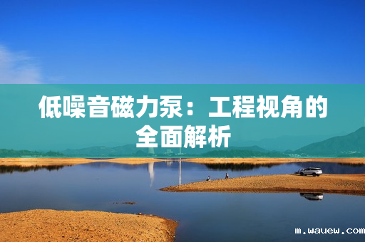 低噪音磁力泵：工程视角的全面解析