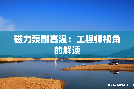 磁力泵耐高温：工程师视角的解读