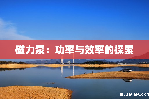 磁力泵：功率与效率的探索