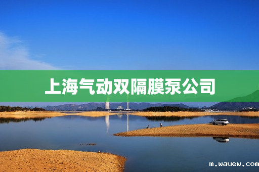 上海气动双隔膜泵公司