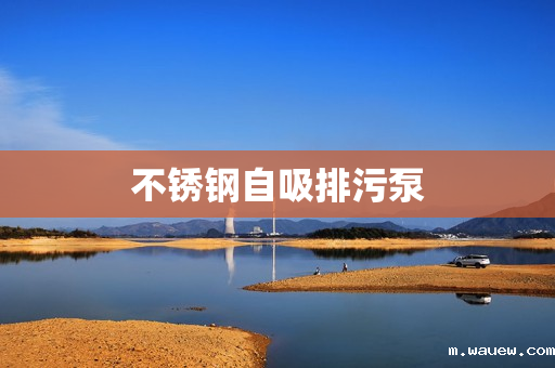 不锈钢自吸排污泵