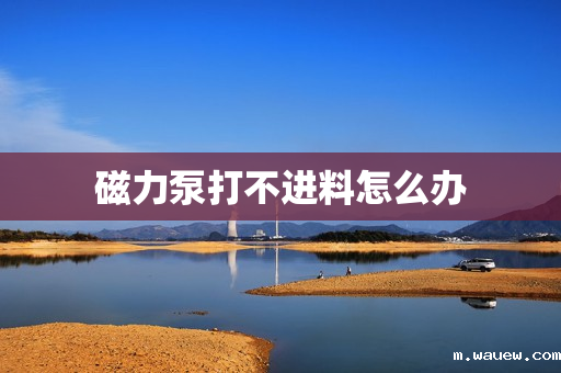 磁力泵打不进料怎么办