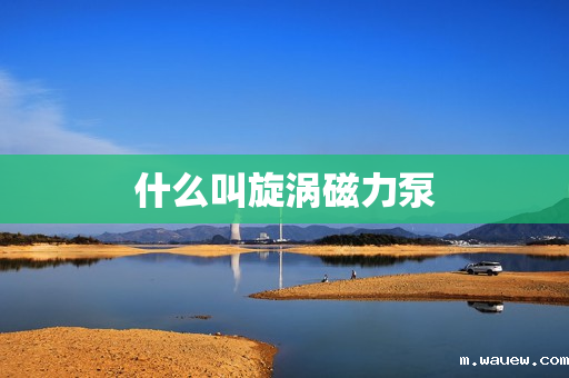 什么叫旋涡磁力泵