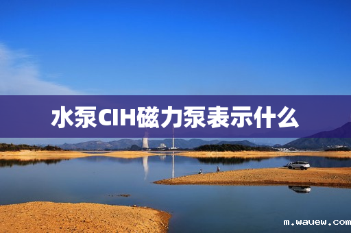 水泵CIH磁力泵表示什么