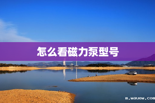怎么看磁力泵型号