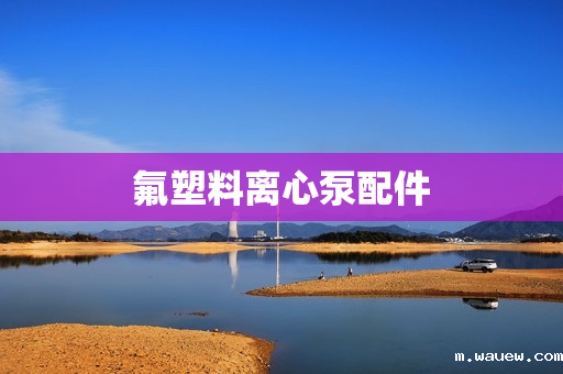 氟塑料离心泵配件