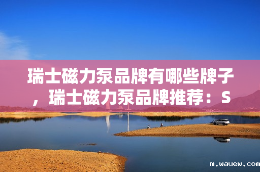 瑞士磁力泵品牌有哪些牌子，瑞士磁力泵品牌推荐：Sulzer。，Sulzer是瑞士的一家成立于1834年的知名磁力泵品牌，也是全球领先的工程设备制造商之一。该品牌的磁力泵具有高效、稳定、安全的特点，广泛应用于化工、石油、制药等行业。，以上内容仅供参考，建议咨询磁力泵相关技术人员获取更多信息。