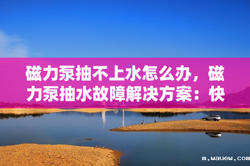 磁力泵抽不上水怎么办，磁力泵抽水故障解决方案：快速排查与修复指南