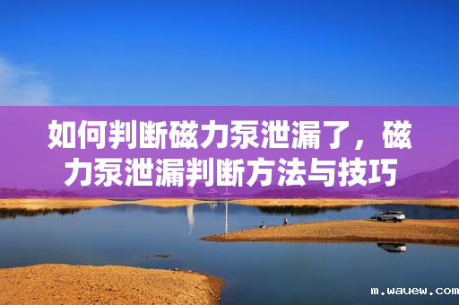 如何判断磁力泵泄漏了，磁力泵泄漏判断方法与技巧