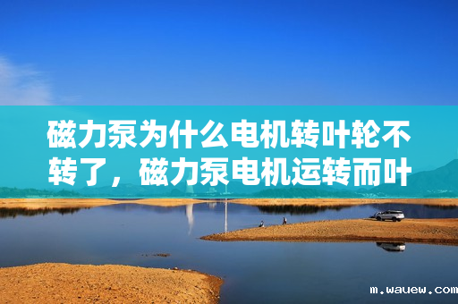 磁力泵为什么电机转叶轮不转了，磁力泵电机运转而叶轮不转：故障解析与解决方案