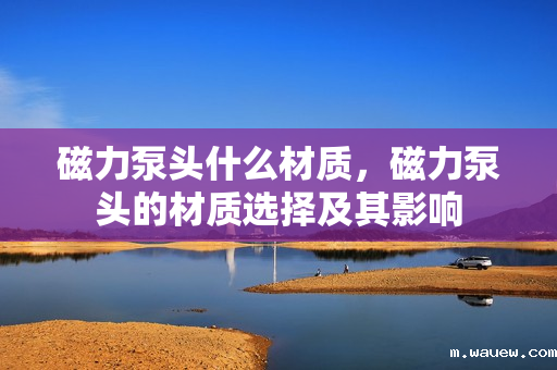 磁力泵头什么材质，磁力泵头的材质选择及其影响