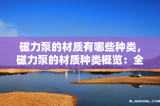 磁力泵的材质有哪些种类，磁力泵的材质种类概览：全面解析不同应用场景下的优选材料