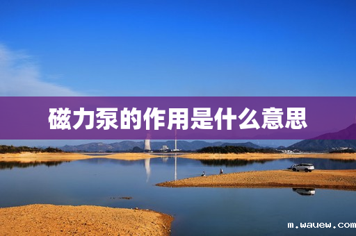 磁力泵的作用是什么意思