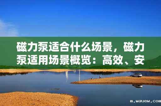 磁力泵适合什么场景，磁力泵适用场景概览：高效、安全、无泄漏的理想选择