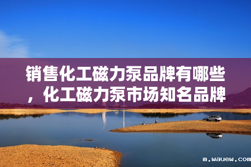 销售化工磁力泵品牌有哪些，化工磁力泵市场知名品牌销售概览