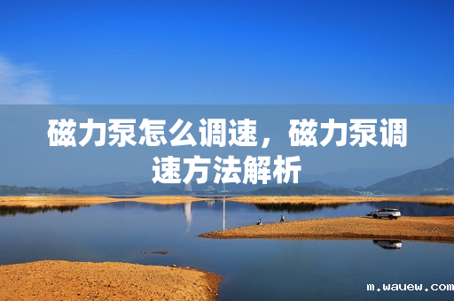 磁力泵怎么调速，磁力泵调速方法解析