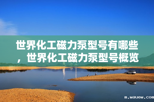 世界化工磁力泵型号有哪些，世界化工磁力泵型号概览：全面了解各类磁力泵型号
